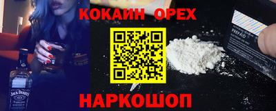 дмт Кингисепп