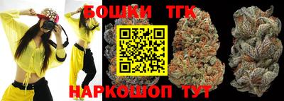 дмт Кингисепп