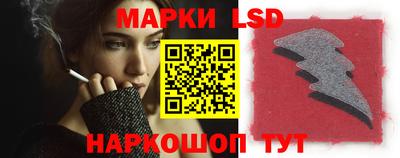 дмт Кингисепп