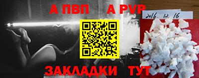 дмт Кингисепп