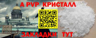 дмт Кингисепп