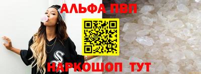 дмт Кингисепп